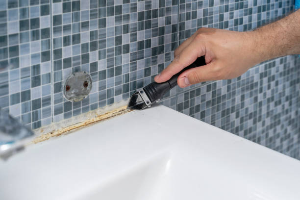 Office Mold Removal Services in Elkins, WV